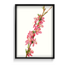 Lion Ambrosia Botanical Wall Art