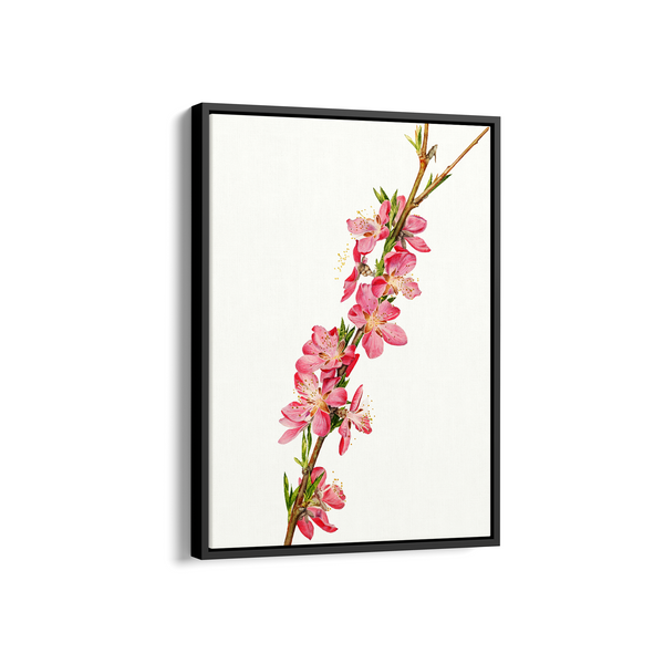 Lion Ambrosia Botanical Wall Art - The Mortal Soul