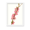 Lion Ambrosia Botanical Wall Art