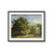 View in the Bentheim Forest by George Andries Roth Wall Art