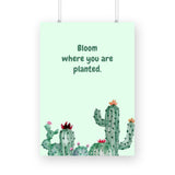 Bloom where you are planted - The Mortal Soul