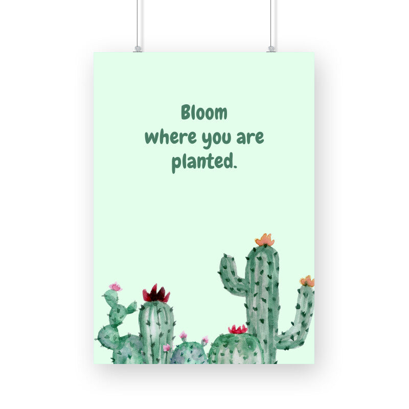 Bloom where you are planted - The Mortal Soul