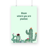 Bloom where you are planted - The Mortal Soul