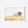 Surreal Wilderness Wall Art