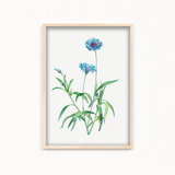 Nordic Lilac Botanical Wall Art