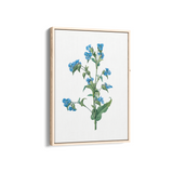 Twisted Thimbleberry Botanical Wall Art