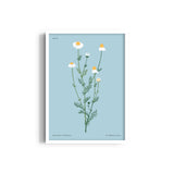 Floral Reverie Botanical Modern Wall Art