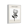 Farmers Market Boho Modern Wall Art