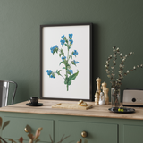 Twisted Thimbleberry Botanical Wall Art