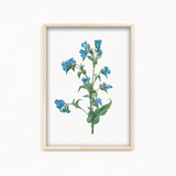 Twisted Thimbleberry Botanical Wall Art