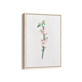 Blessed Nightshade Botanical Wall Art