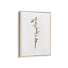 Blessed Nightshade Botanical Wall Art