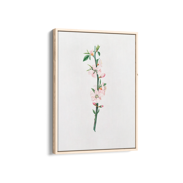 Blessed Nightshade Botanical Wall Art