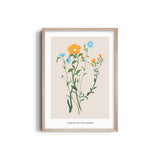 Botanical Brilliance Botanical Modern Wall Art