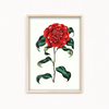 Cramire Botanical Wall Art