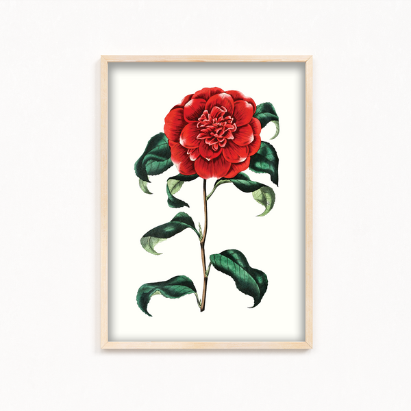 Cramire Botanical Wall Art