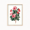 Majestic Felonwood Botanical Wall Art