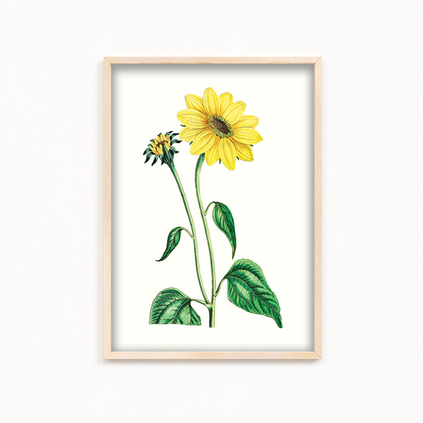 Etralda Botanical Wall Art