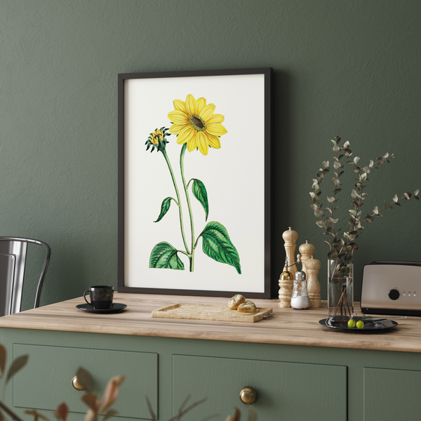 Etralda Botanical Wall Art