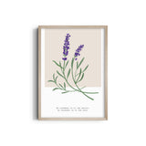 Lavender Botanical Modern Wall Art