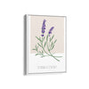 Lavender Botanical Modern Wall Art