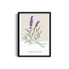 Lavender Botanical Modern Wall Art