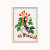 Slithries Botanical Wall Art