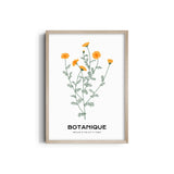 Floral Reverence Botanical Modern Wall Art