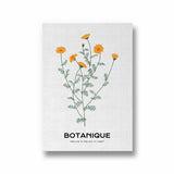 Floral Reverence Botanical Modern Wall Art