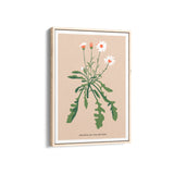 Lily Botanical Modern Wall Art