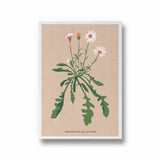 Lily Botanical Modern Wall Art