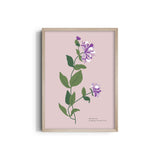 Garden of Colors Botanical Modern Wall Art