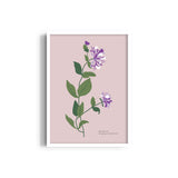 Garden of Colors Botanical Modern Wall Art