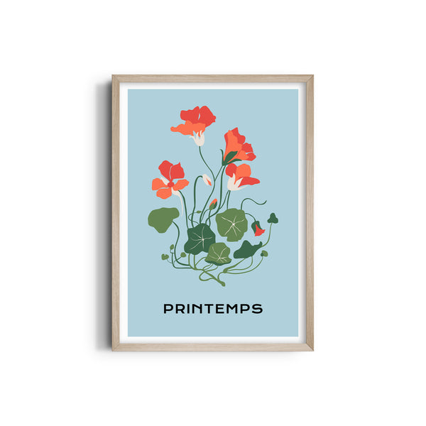 Floral Illuminations Botanical Modern Wall Art
