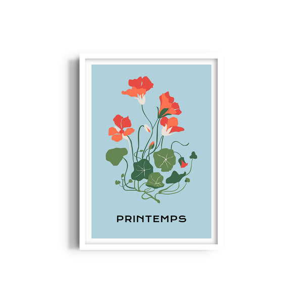Floral Illuminations Botanical Modern Wall Art