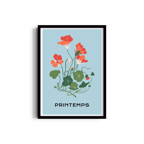 Floral Illuminations Botanical Modern Wall Art