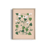Petals & Pigments Botanical Modern Wall Art