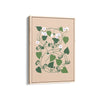 Petals & Pigments Botanical Modern Wall Art