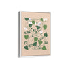 Petals & Pigments Botanical Modern Wall Art