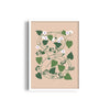 Petals & Pigments Botanical Modern Wall Art