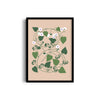 Petals & Pigments Botanical Modern Wall Art