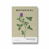 Barcelona Flower Market Botanical Modern Wall Art