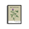 Barcelona Flower Market Botanical Modern Wall Art