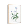 Garden of Creativity Botanical Modern Wall Art