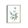 Garden of Creativity Botanical Modern Wall Art