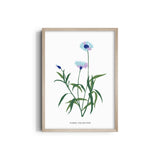 Garden of Creativity Botanical Modern Wall Art