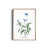 Garden of Creativity Botanical Modern Wall Art