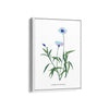 Garden of Creativity Botanical Modern Wall Art