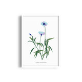 Garden of Creativity Botanical Modern Wall Art