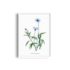 Garden of Creativity Botanical Modern Wall Art